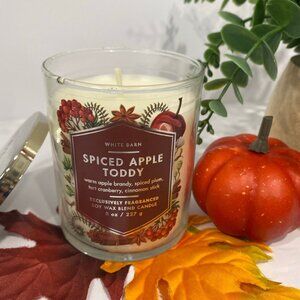 Bath & Body Works "Spiced Apple Toddy” Single Wick Candle